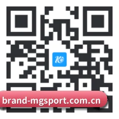 苹果版 iOS 二维码