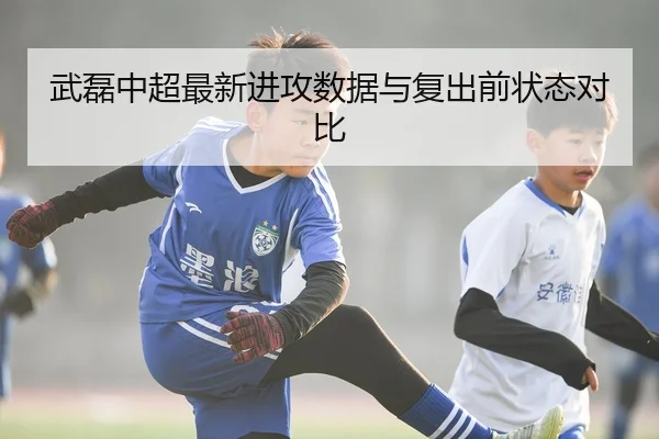 武磊中超最新进攻数据与复出前状态对比 - mgsport